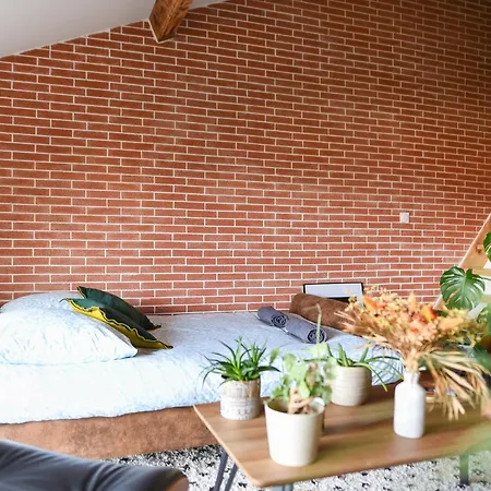 Le Loft Botanique Et Son Parking Gratuit Apartment Toulouse
