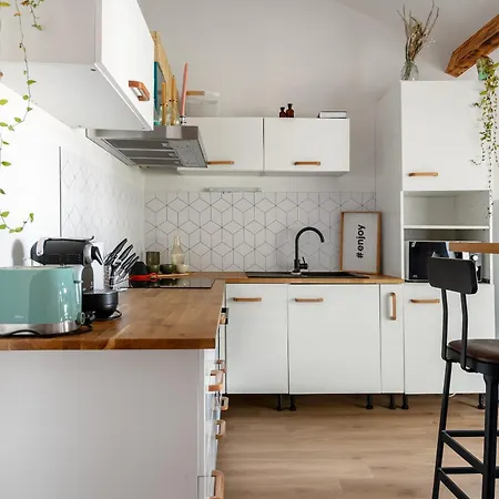 Apartment Le Loft Botanique Et Son Parking Gratuit